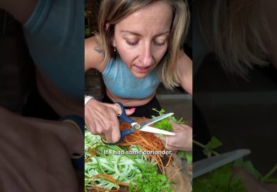 🍜PAD THAI NOODLES🔥 Healthy Vegan Weight Loss!!
